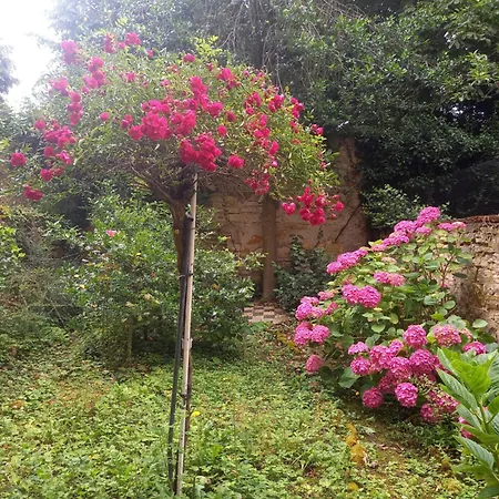 Lägenhet La Teranga De Kadi & Cathy, Avec Jardin Privatif *