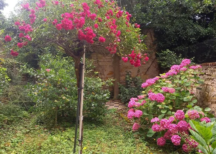 Appartamento La Teranga De Kadi & Cathy, Avec Jardin Privatif *